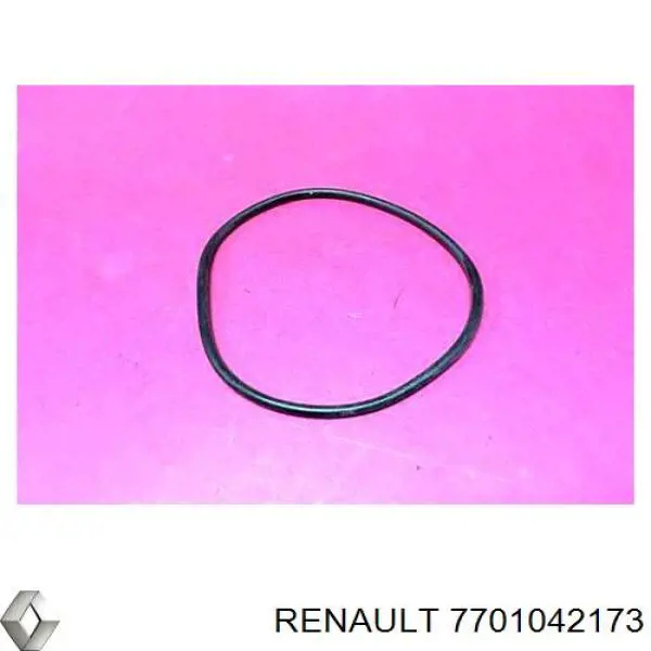 7701042173 Renault (RVI) сальник вакуумного насоса