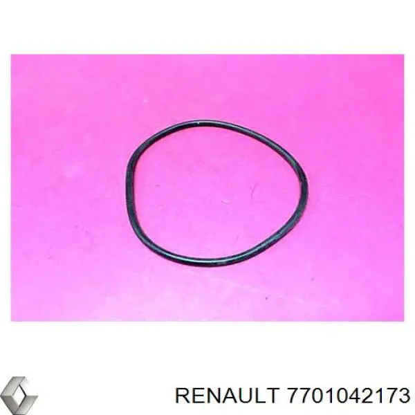 Купити 7701042173 Nissan/Infiniti Сальник вакуумного насоса
