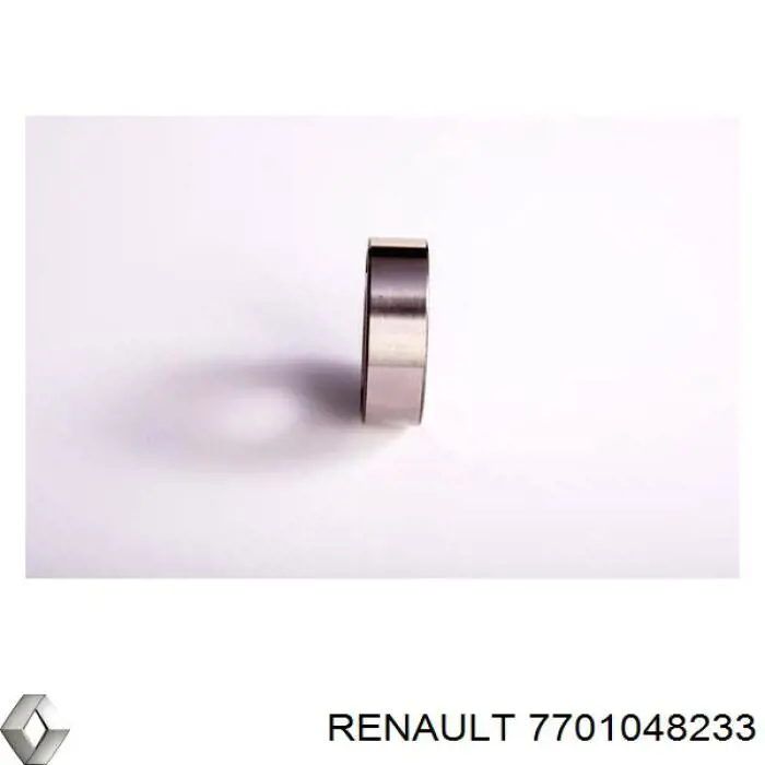 7701048233 Renault (RVI) підшипник генератора