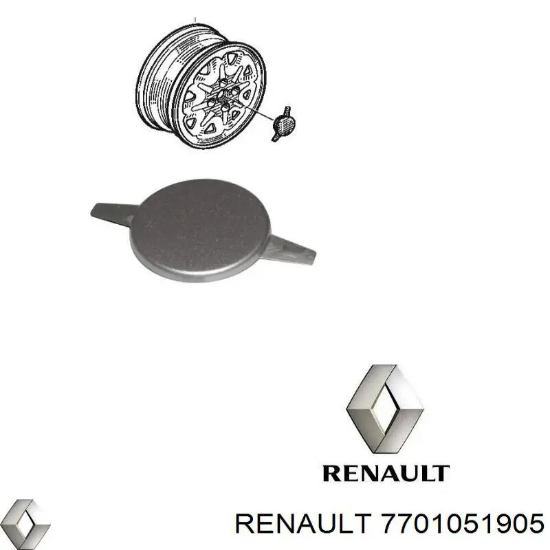 Кронштейн гальмівного супорта Renault (RVI) 7701051905 ціна, від 66.48 USD