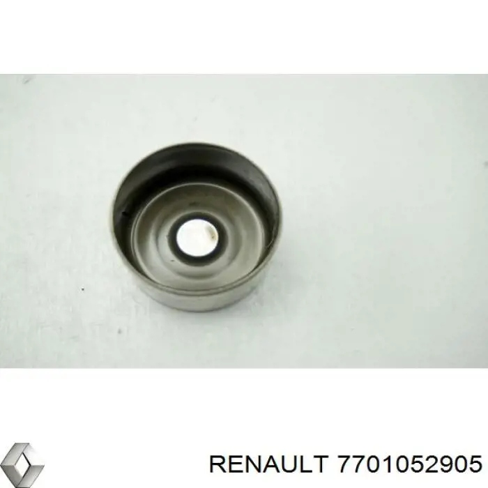  7701052905 Renault (RVI)