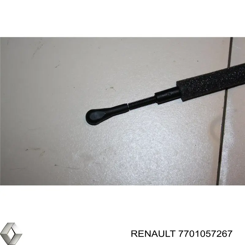  7701057267 Renault (RVI)