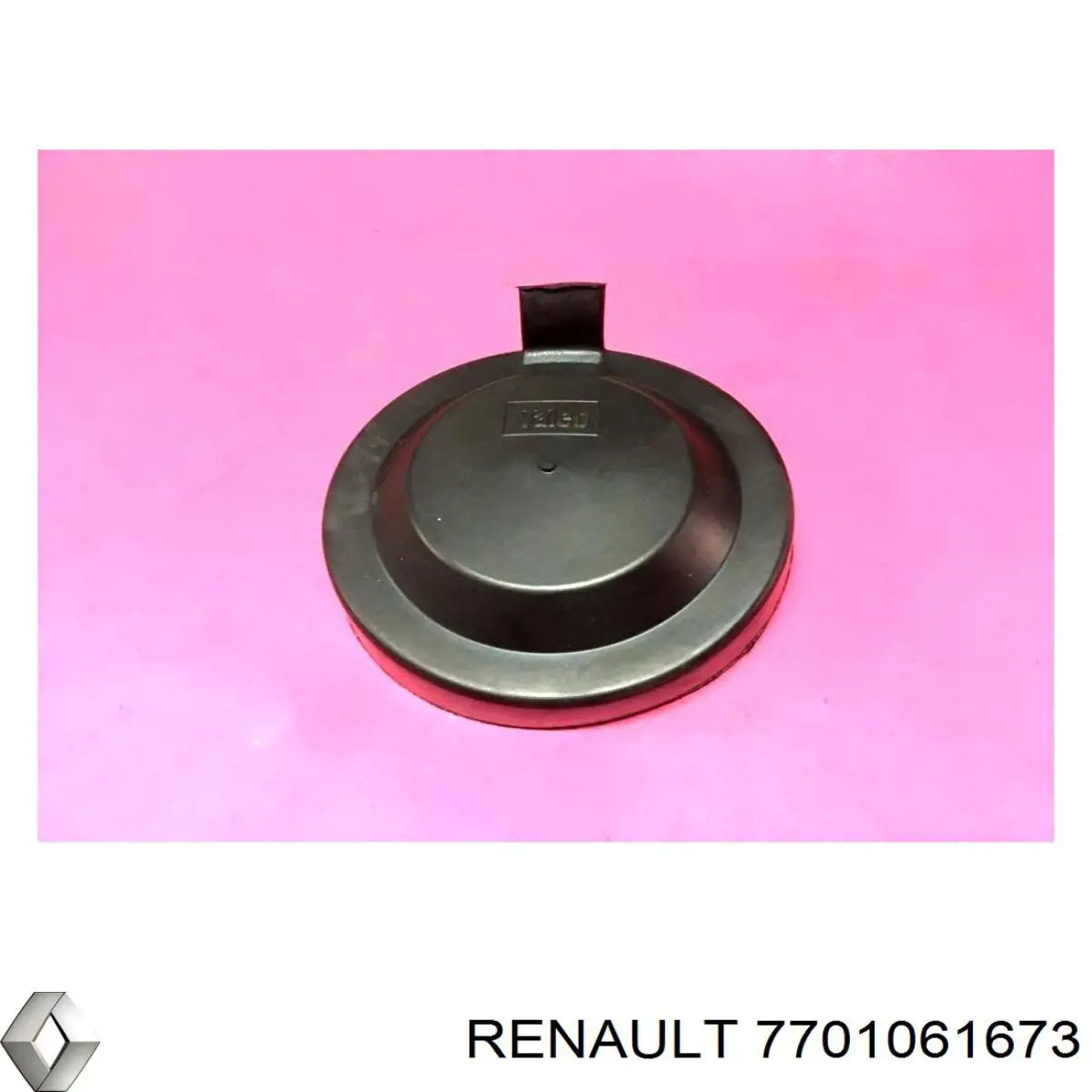 Купити 7701061673 Renault (RVI) 