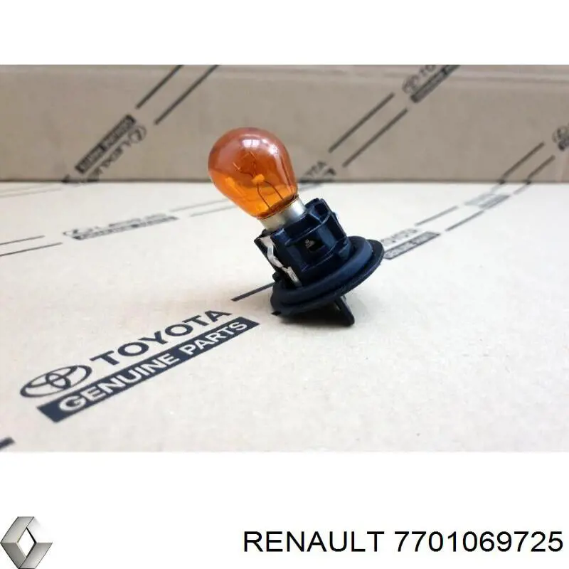  7701069725 Renault (RVI)