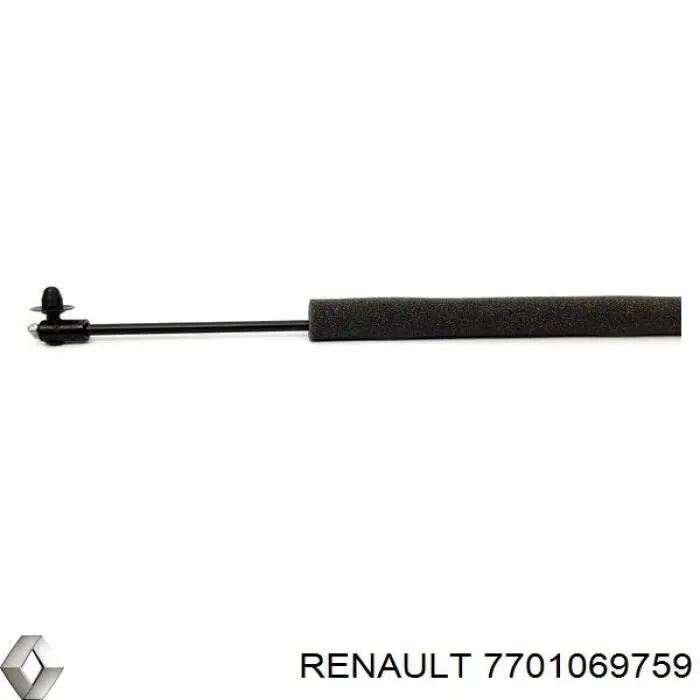  Renault (RVI) 7701069759 ціна, від 0.45 USD