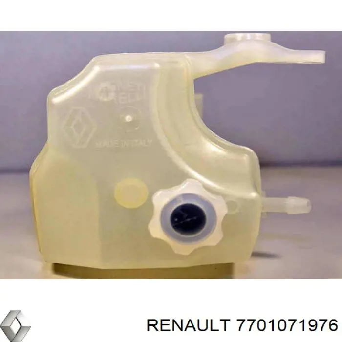 7701071976 Renault (RVI) 