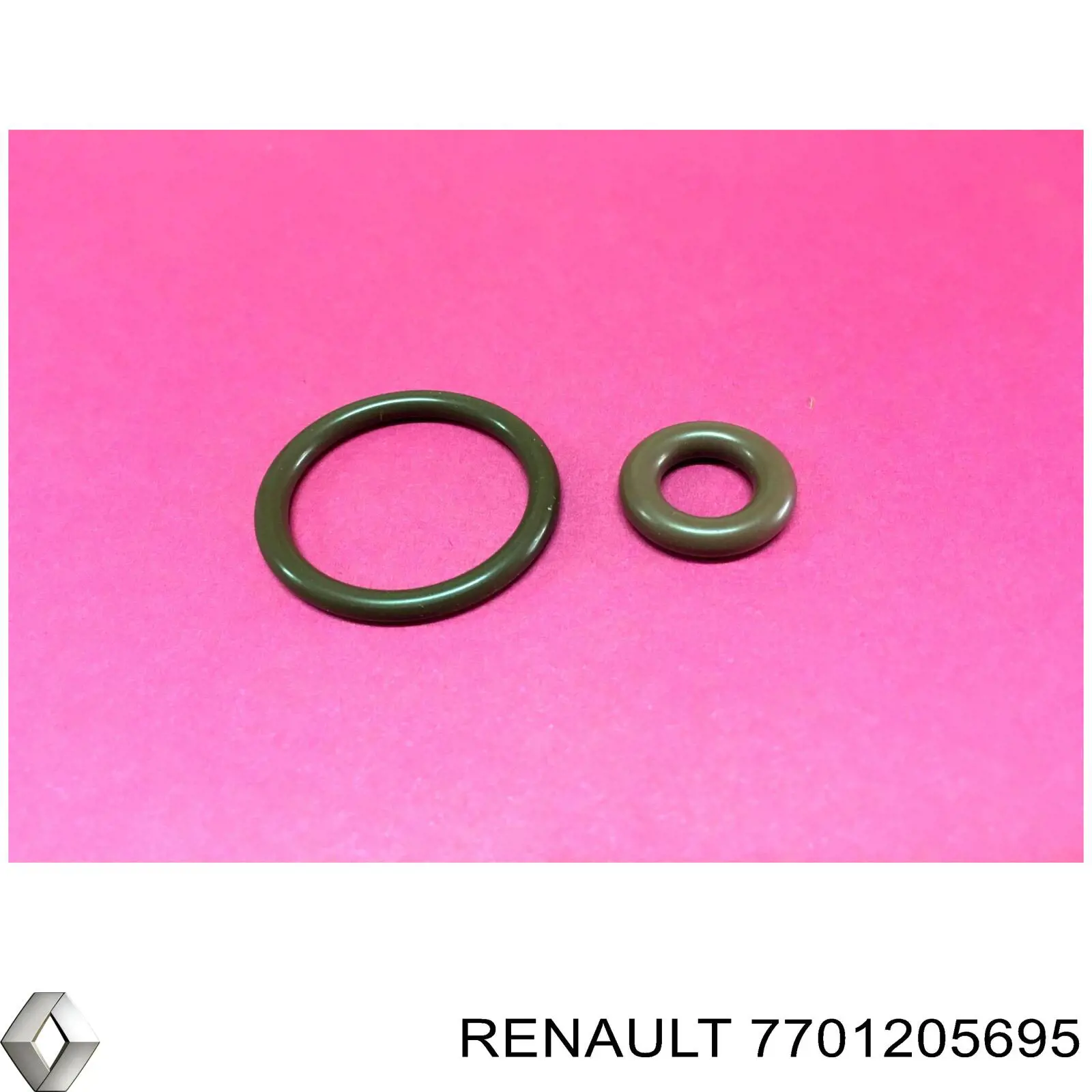 Кільце форсунки інжектора, посадочне Renault 19 2 (D53, 853) (Рено 19)