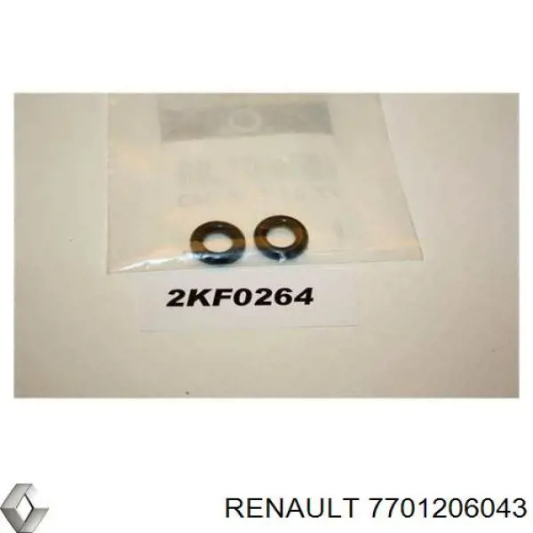 Купити 7701206043 Renault (RVI) Кільце форсунки