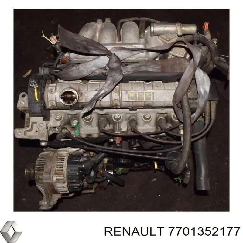 Купити 7701352177 Renault (RVI) Двигун