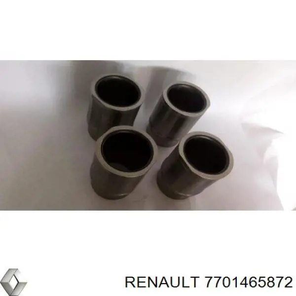 Купити 7701465872 Renault (RVI) Комплект поршневий (поршень + гільза)