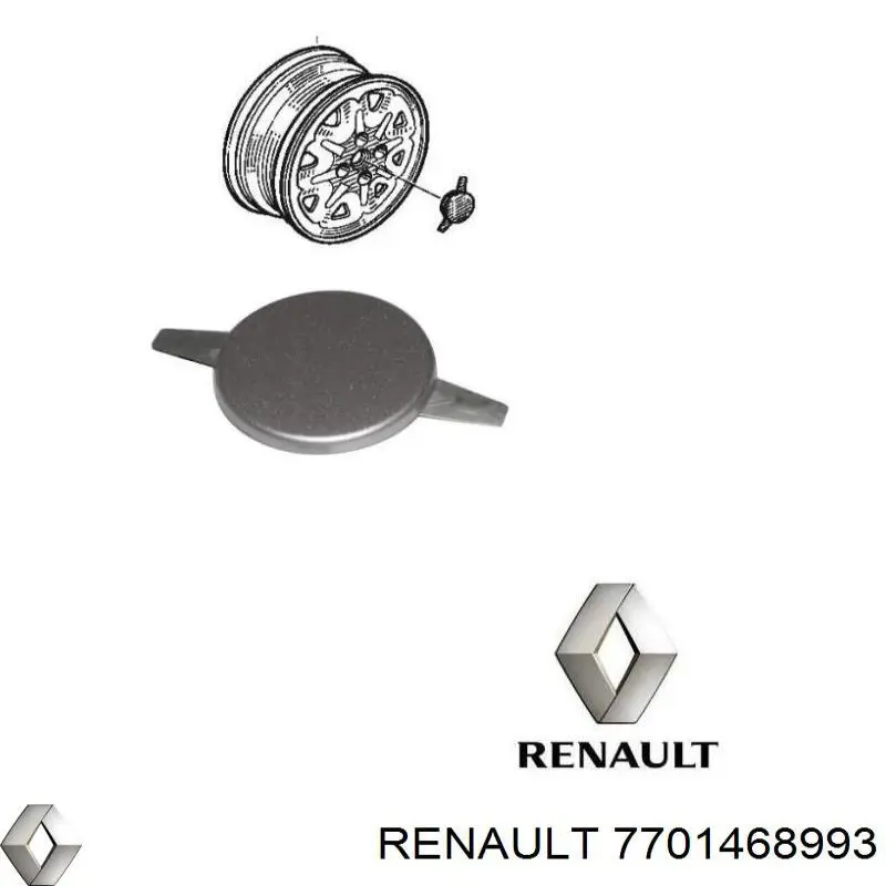  7701468993 Renault (RVI)