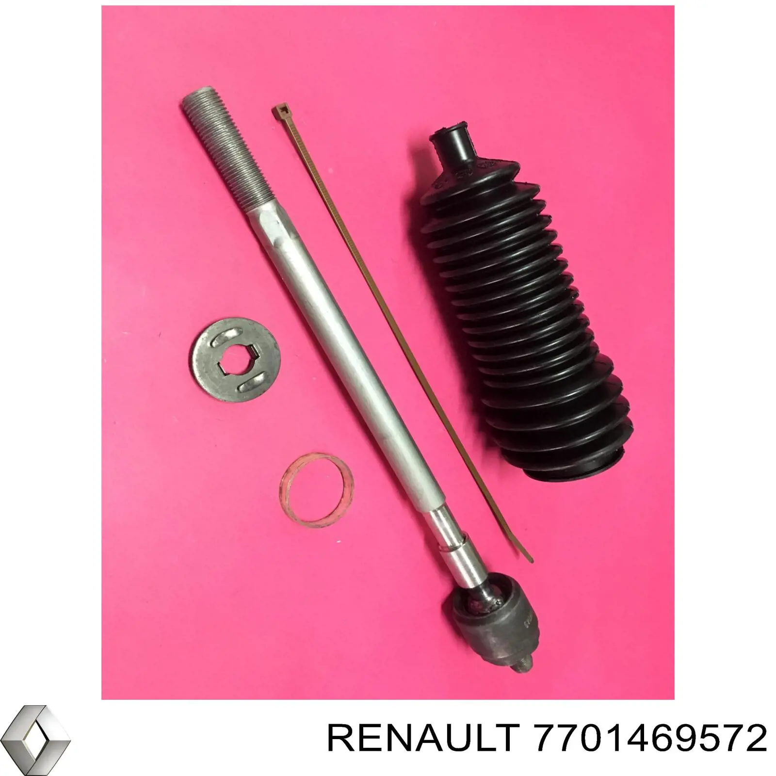  7701469572 Renault (RVI)