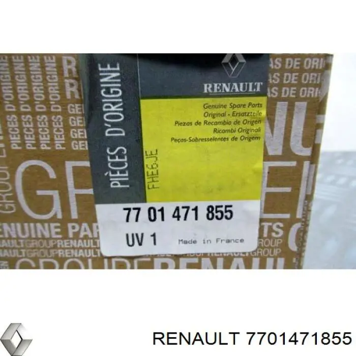 Купити 7701471855 Renault (RVI) Накладка/кришка дзеркала заднього виду, права