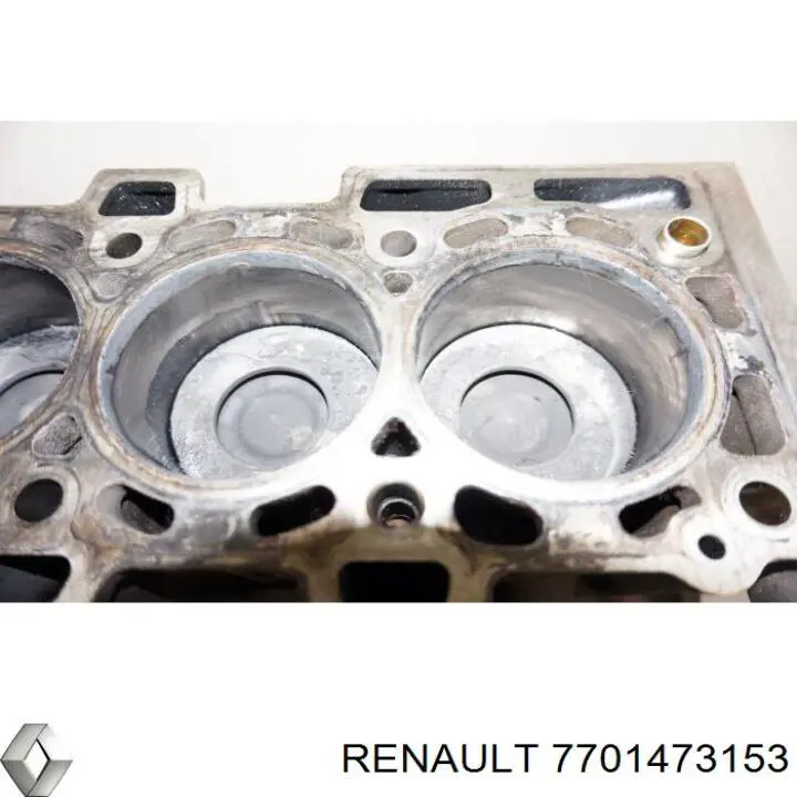  7701473153 Renault (RVI)