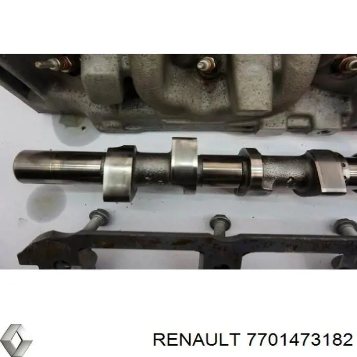 7701473182 Renault (RVI) Головка циліндрів