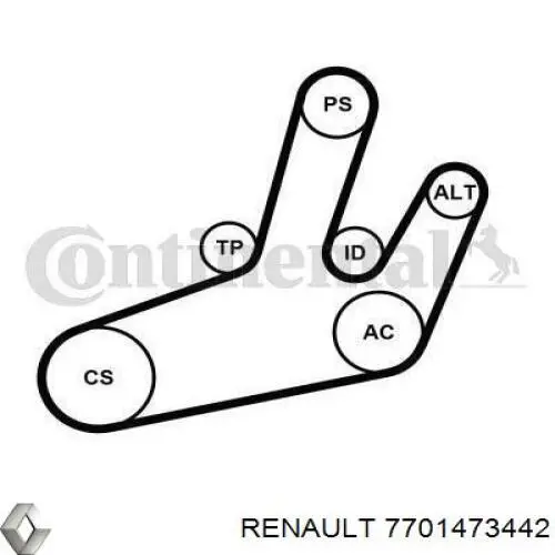 Ремінь приводний, агрегатів, комплект 7701473442 Renault (RVI)