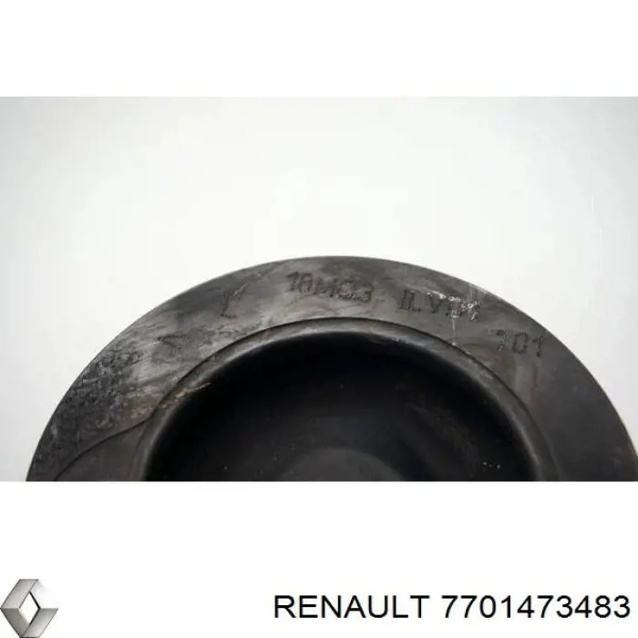 Поршень в зборі Renault (RVI) 120A15452R ціна, від 22.55 USD