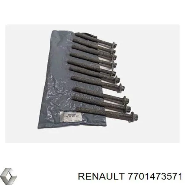 7701473571 Renault (RVI) болт головки блока циліндрів, гбц