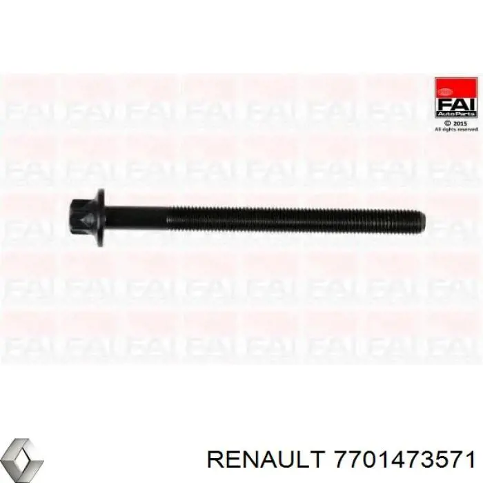 Болт головки блока циліндрів Renault (RVI) 1105700QAB
