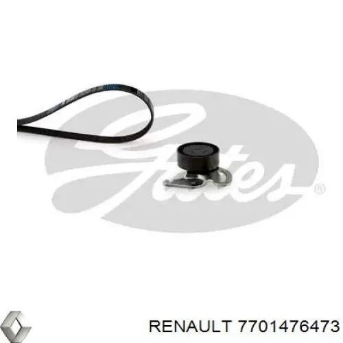 Купити 7701476473 Renault (RVI) Ремінь приводний, агрегатів, комплект