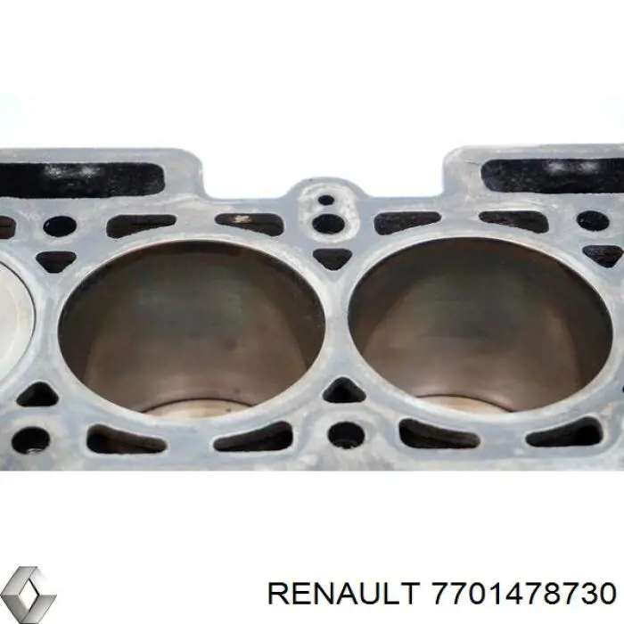 Блок циліндрів двигуна 7701478730 Renault (RVI)