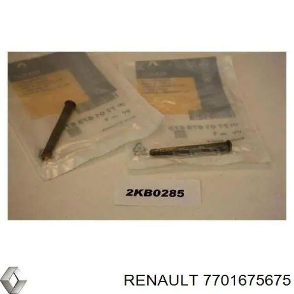 Купити 7701675675 Renault (RVI) Палець (шплінт) дверної петлі