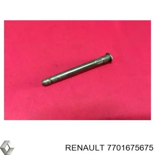 Палець / шплінт дверної петлі на Renault Kangoo (KC0)