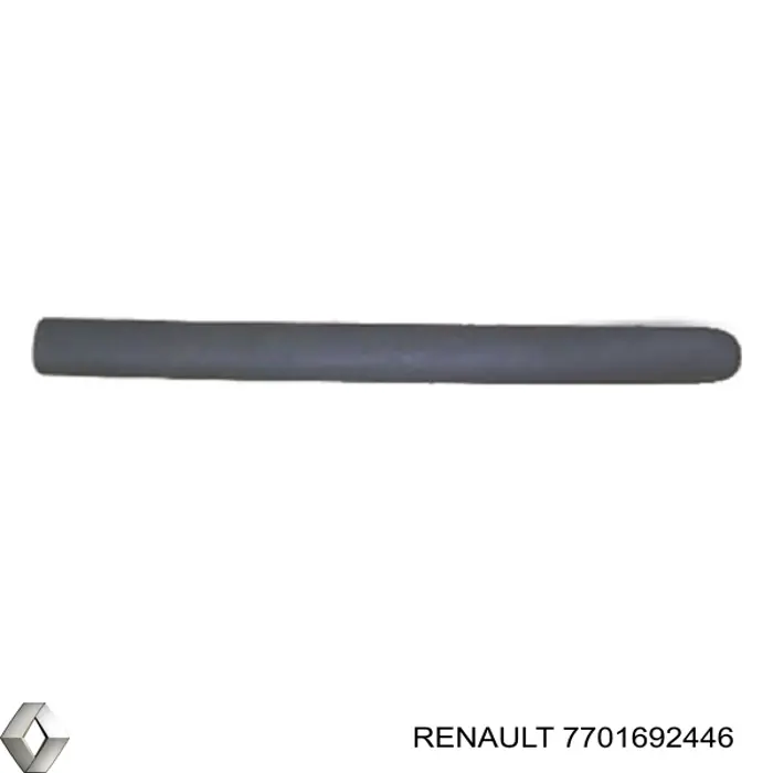 7701692446 Renault (RVI) молдинг задніх правих дверей