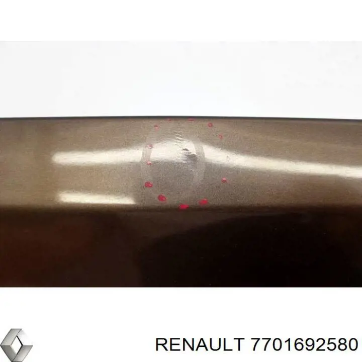  7701692580 Renault (RVI)