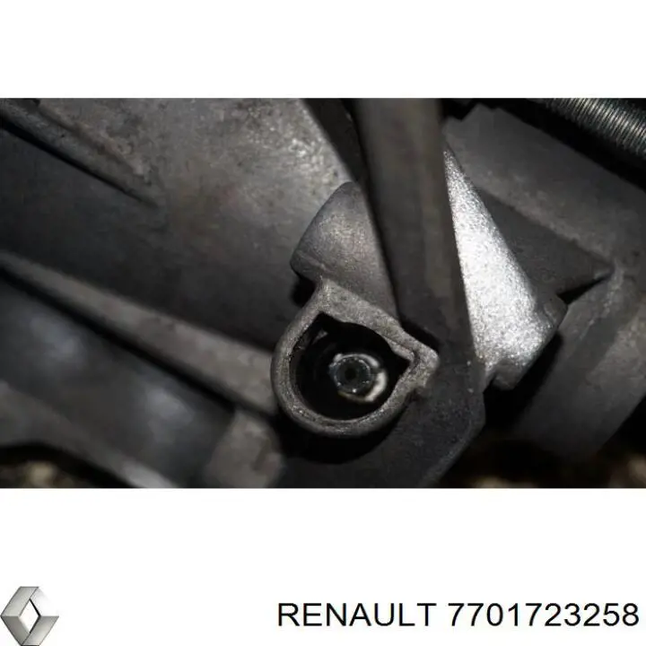  7701723258 Renault (RVI)