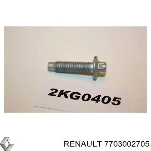 Купити 7703002705 Renault (RVI) Болт піддона зливний