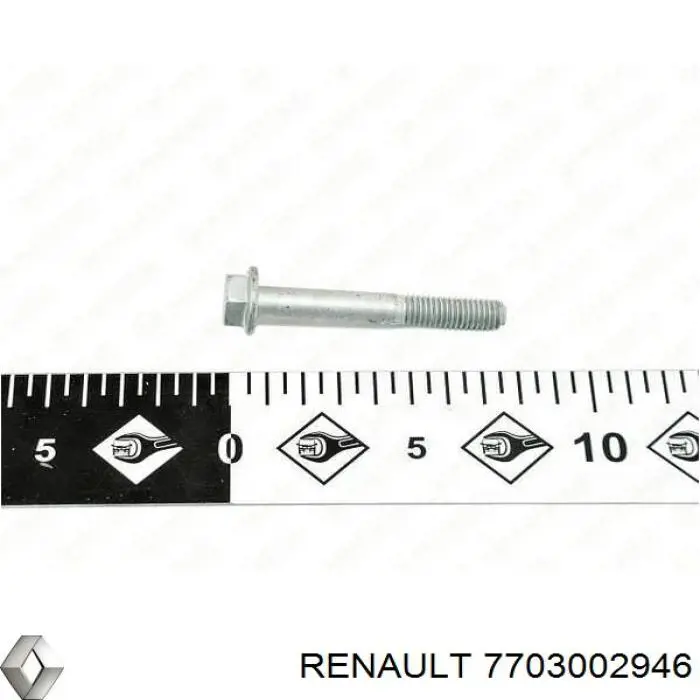 Болт головки блока циліндрів, ГБЦ Renault (RVI) 7703002946 ціна, від 3.83 USD