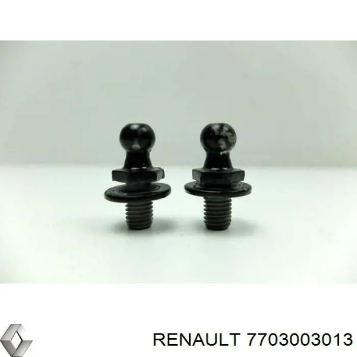  7703003013 Renault (RVI)