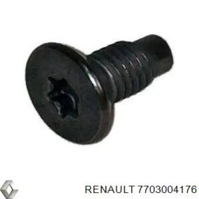 Болт гальмівного супорту 7703004176 Renault (RVI)