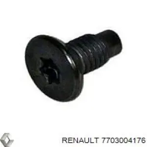 Болт кріплення супорта Renault (RVI) 7703004176 ціна, від 1.85 USD
