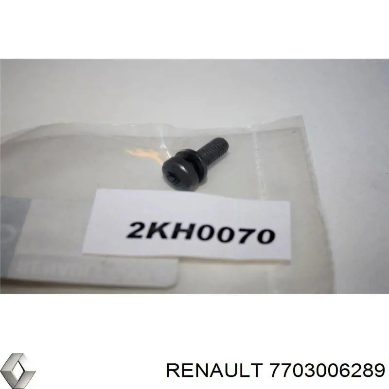 7703006289 Renault (RVI) 