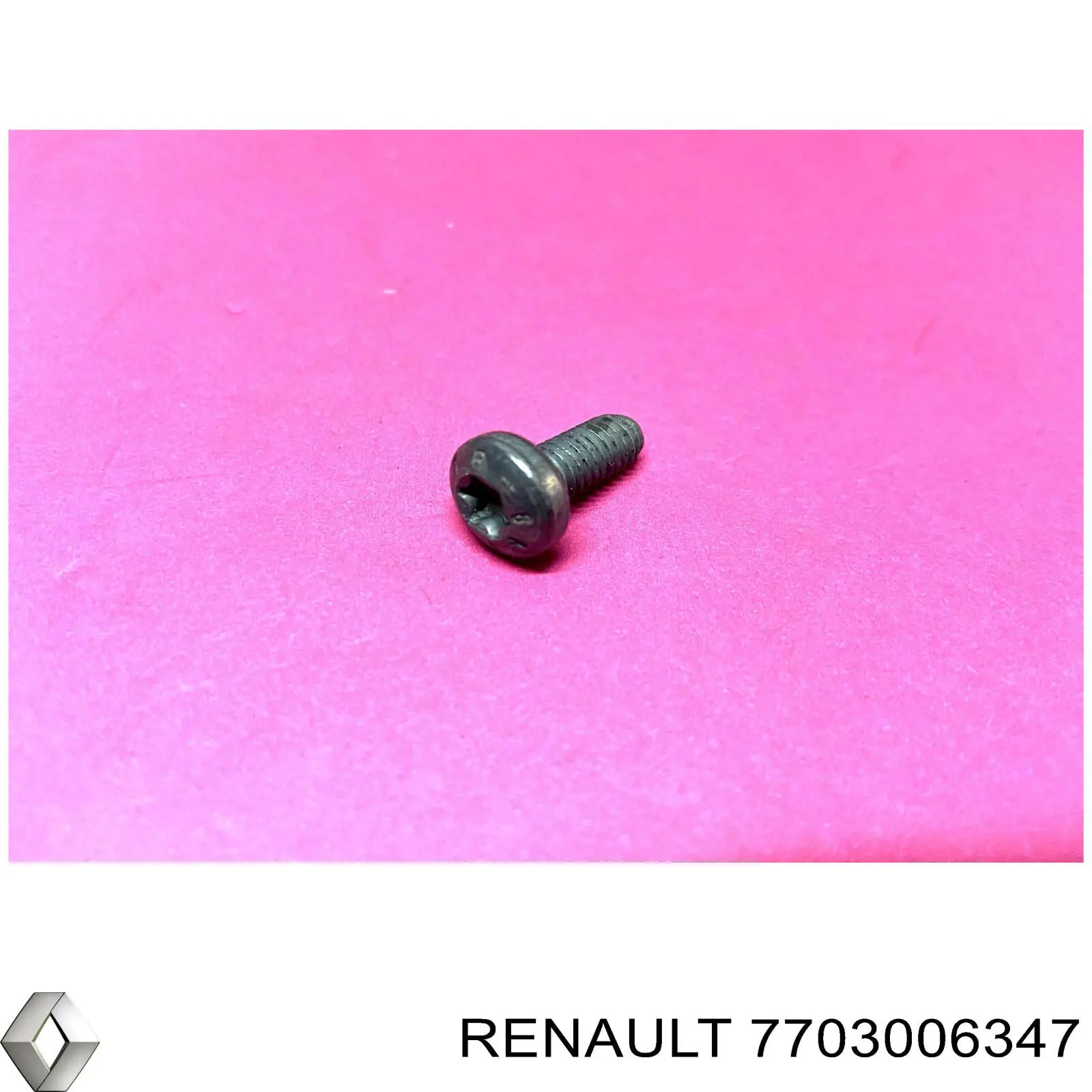  7703006347 Renault (RVI)