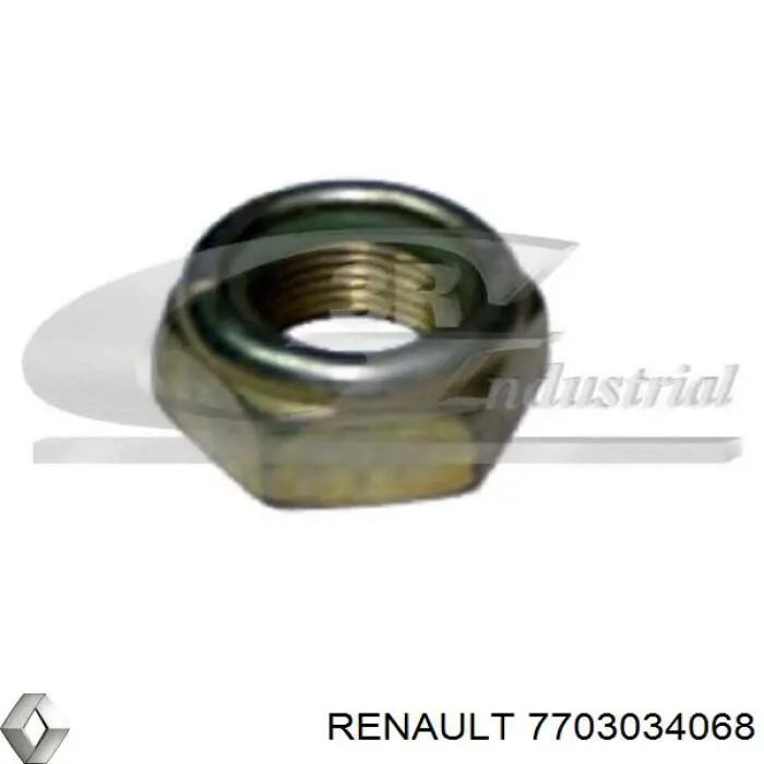  7703034068 Renault (RVI)