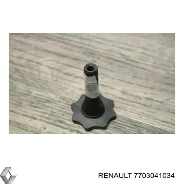 Болт кріплення запасного колеса Renault (RVI) 7703041034 ціна, від 2.53 USD