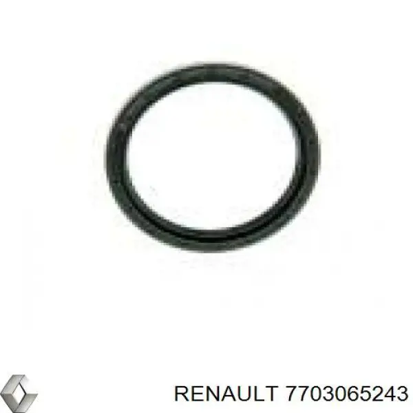 7703065243 Renault (RVI) Кільце ущільнювача штуцерів рульової рейки