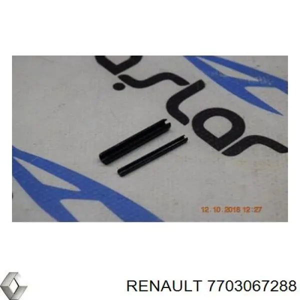 Штифт внутрішнього ШРКШу півосі 7703067288 Renault (RVI)