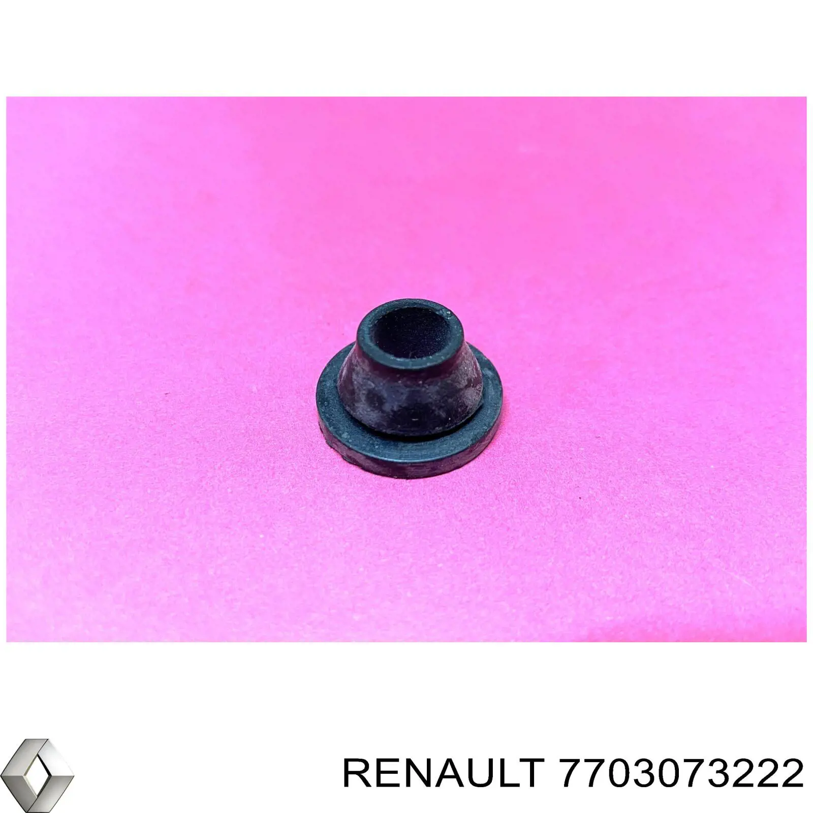  7703073222 Renault (RVI)