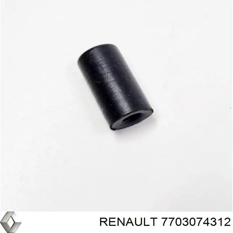 Купити 7703074312 Renault (RVI) Ковпачок штуцера паливної форсунки