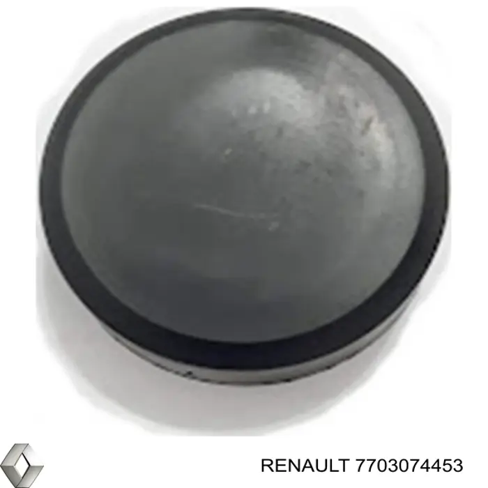 7703074453 Renault (RVI) 