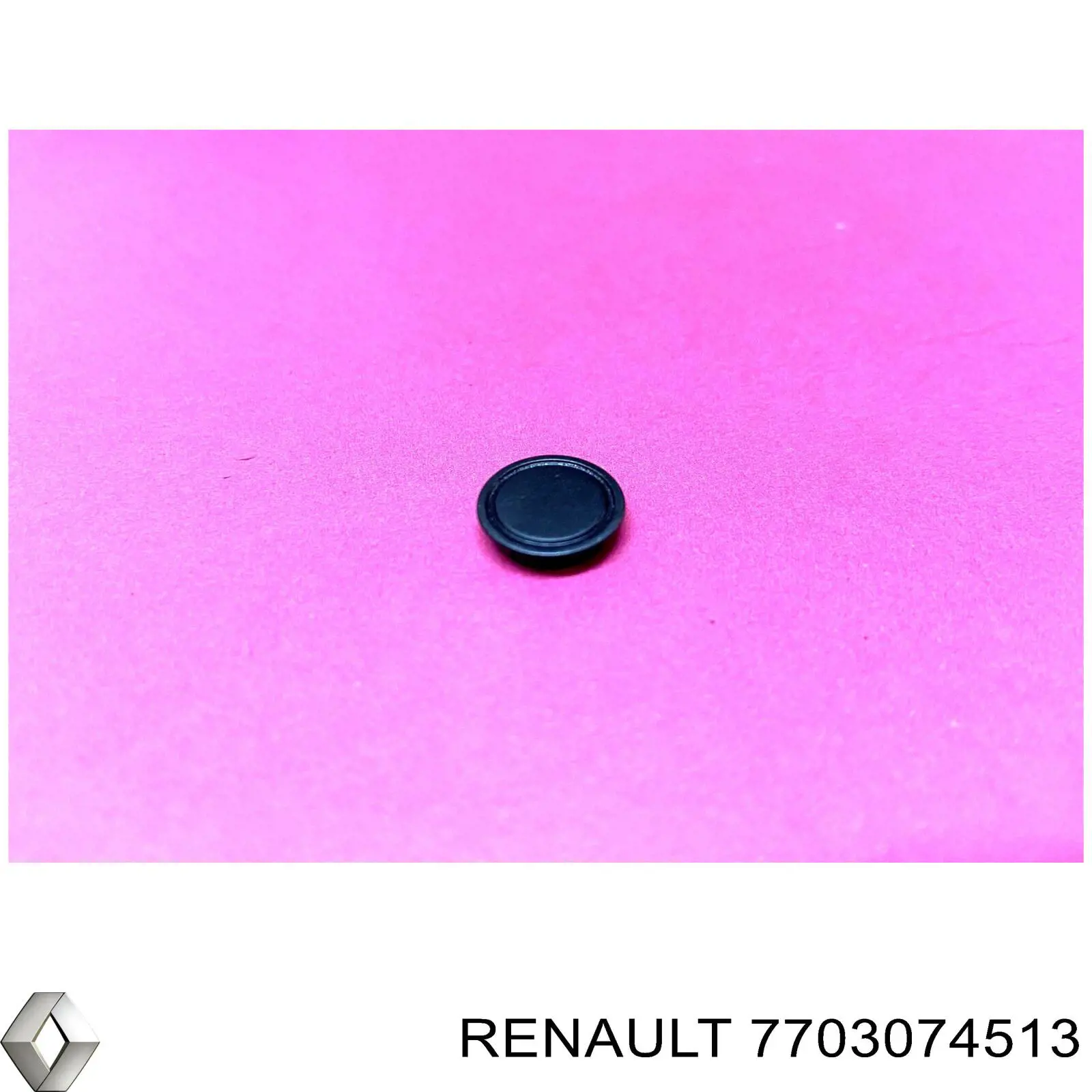  7703074513 Renault (RVI)