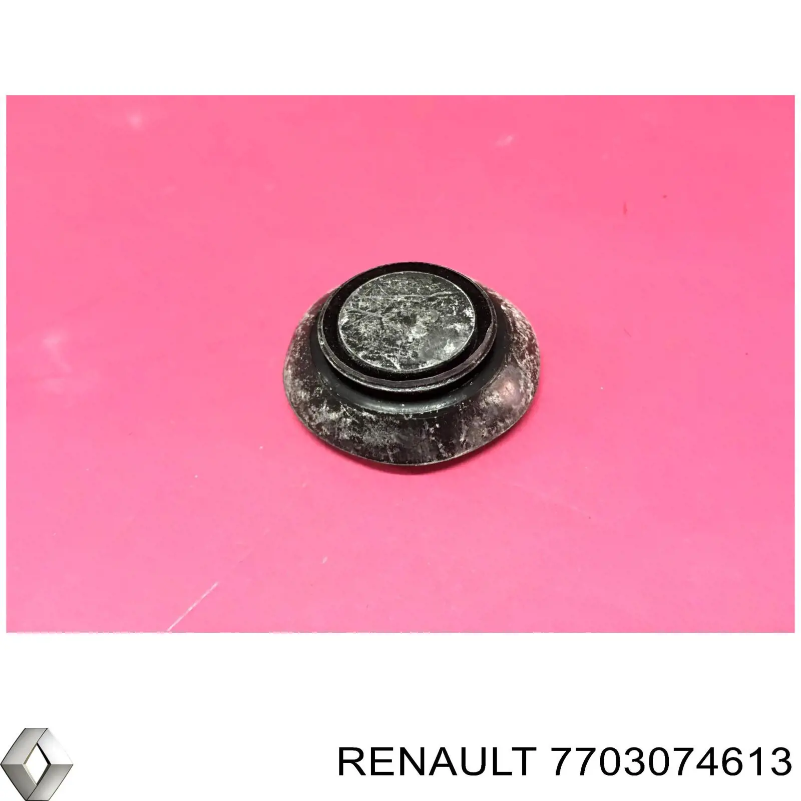 7703074613 Renault (RVI) 