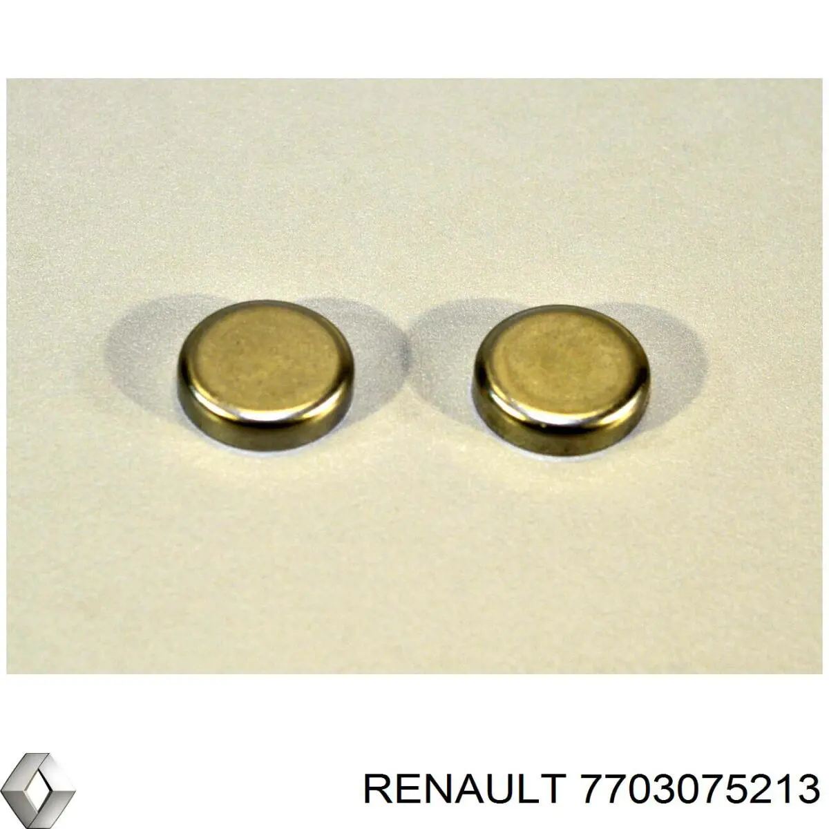 Заглушка ГБЦ/блоку циліндрів Renault Master 3 (EV, HV, UV) (Рено Мастер)