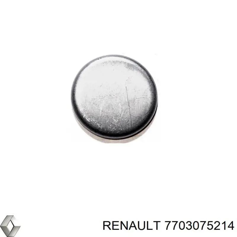 7703075214 Renault (RVI) заглушка гбц/блоку циліндрів