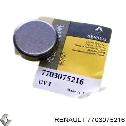7703075216 Renault (RVI) заглушка гбц/блоку циліндрів