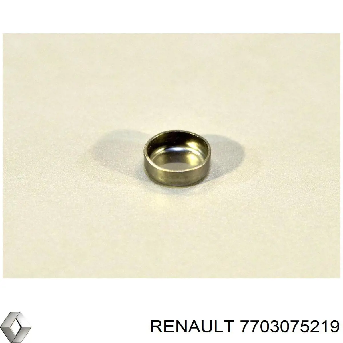 7703075219 Renault (RVI) Заглушка головки блока